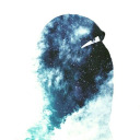 sheiastranger avatar