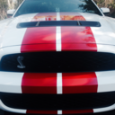 shelby-gt500 avatar