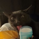 shenonagons avatar