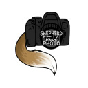 shepherdtailphoto avatar