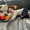 sheriff-haught-pants avatar