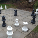 sheriwallace123 avatar