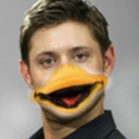 sherlock-more-like-shercock avatar