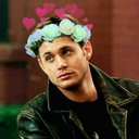 sherlock-sherkey avatar