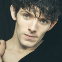 sherlock-the-busy-little-bee avatar