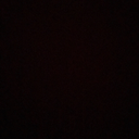 shesbeenslaughtered avatar