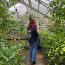 shesinbipolaris avatar