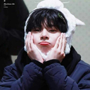 shiallmoonlight avatar