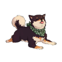 shiba-paws avatar