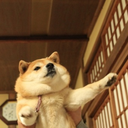 shibainuslove avatar