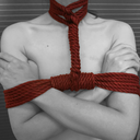 shibari-artist-blog avatar