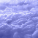 shield-secrets avatar