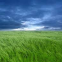 shineanawesomelight avatar