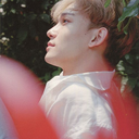 shinee-to-you avatar