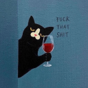 shinladyanarki avatar