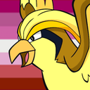 shinypidgeot-blog avatar