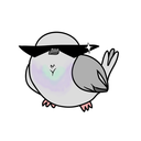shinypigeon-blog avatar