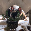 ship-to-nowhere avatar