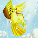 shipidgeot avatar