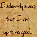 shippinandchillin avatar