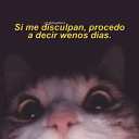 shippingchaos2121 avatar