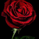 ships-inthe-sea avatar