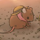 shipwreck-stories avatar