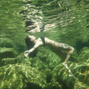 shirleyspectre avatar