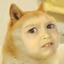 shit-sh0ck-horror avatar