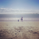 shitfree-blog avatar