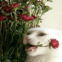 shitposts4myeyesonly avatar