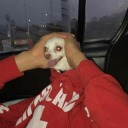 shitty-little-weewee-boy avatar