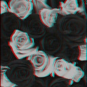 shiveringrose avatar