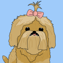 shockwave-princess avatar