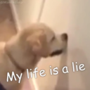 shokujin-shot avatar