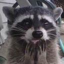 shootingstarmie avatar