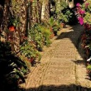 shorty-stories avatar