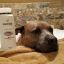 shouldhavekeptmyrib avatar