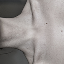 shoutingwhisper avatar