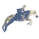 showjumpinghorse-blog avatar