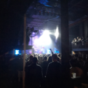 shreddybear13 avatar