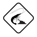 shrimpinn avatar