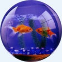 shrimpleshroomple avatar