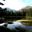 shslunderworldbreeder avatar