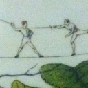 shumland-dorot avatar