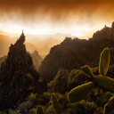 shushsilentsecrets avatar