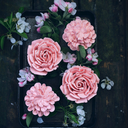 shut-up-your-mouth avatar