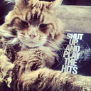 shutupandplaythehits avatar