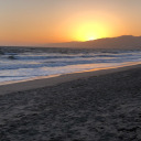 shycoffeecreation avatar