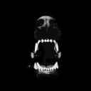 sick-as-a-dog avatar